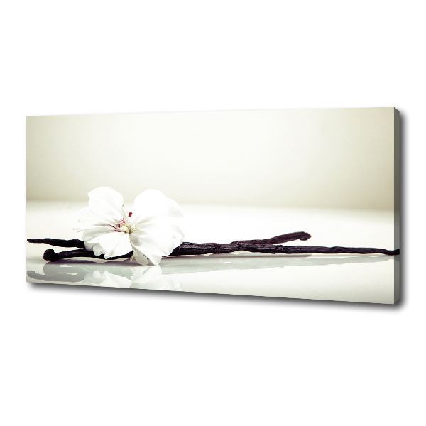 Wandbild Vanilleschote