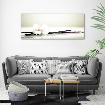 Wandbild Vanilleschote