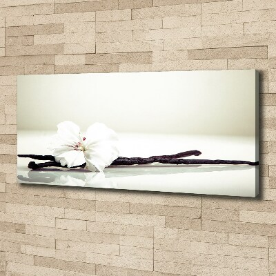 Wandbild Vanilleschote