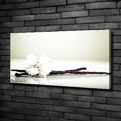 Wandbild Vanilleschote