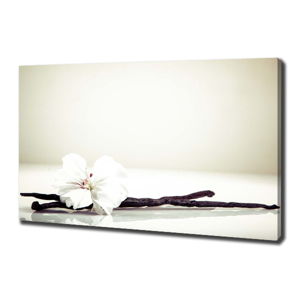 Wandbild Vanilleschote