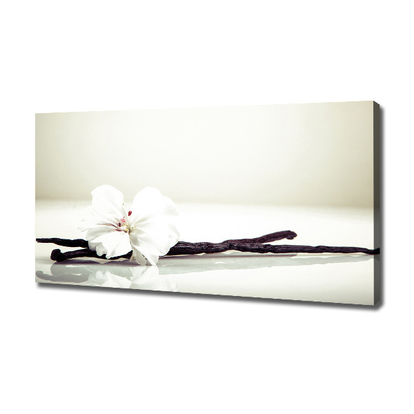 Wandbild Vanilleschote