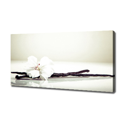 Wandbild Vanilleschote