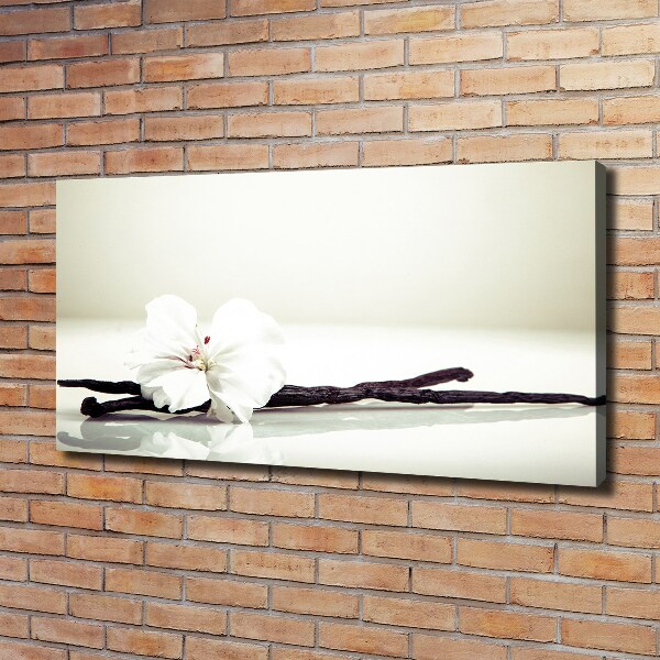 Wandbild Vanilleschote