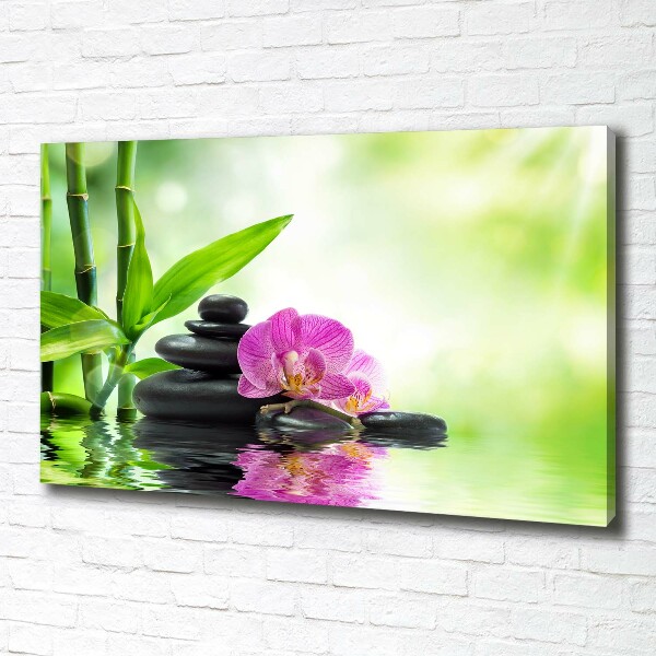 Fotobild Orchidee