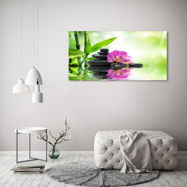 Fotobild Orchidee