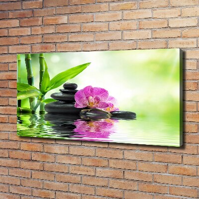 Fotobild Orchidee