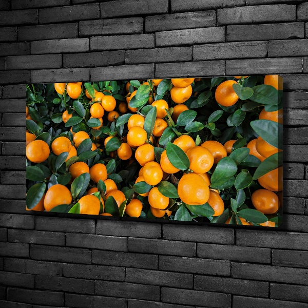 Bild auf leinwand Mandarinen