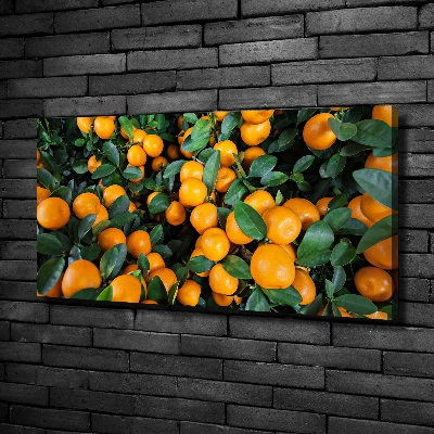 Bild auf leinwand Mandarinen