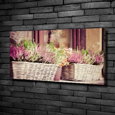 Wandbild Lavendel im Topf