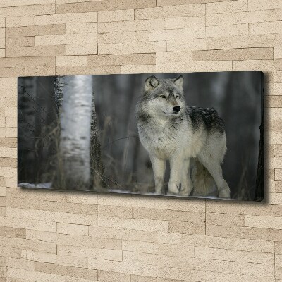 Bild auf leinwand Grauer Wolf