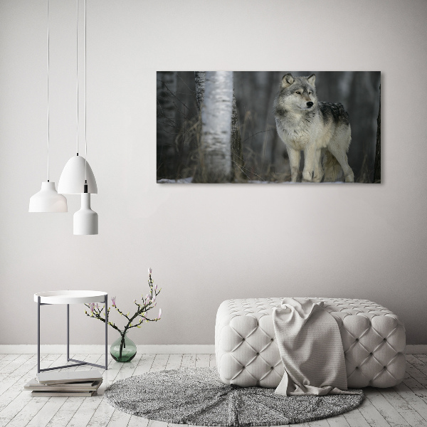Bild auf leinwand Grauer Wolf