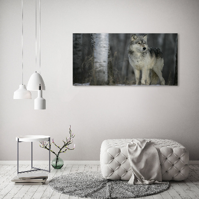 Bild auf leinwand Grauer Wolf
