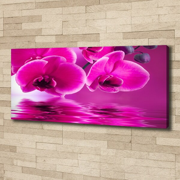 Bild auf leinwand Orchidee