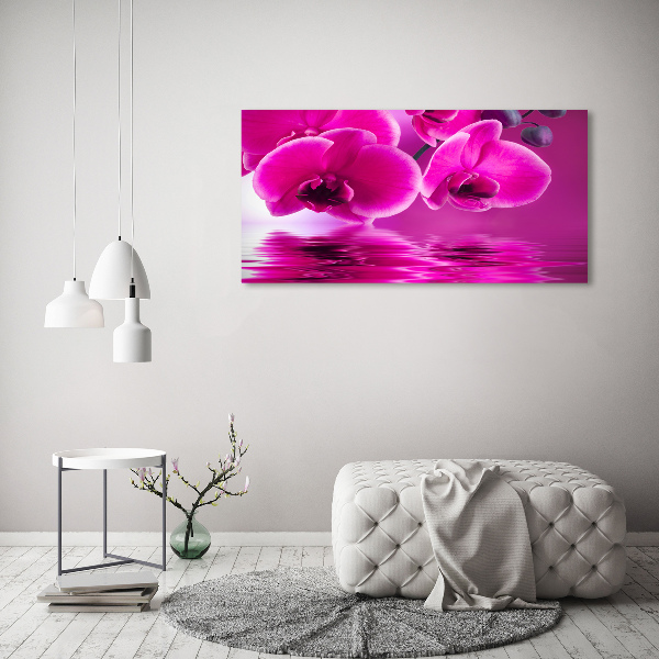 Bild auf leinwand Orchidee