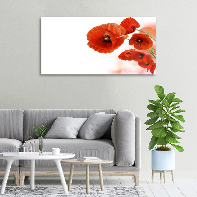 Bild auf leinwand Mohnblumen