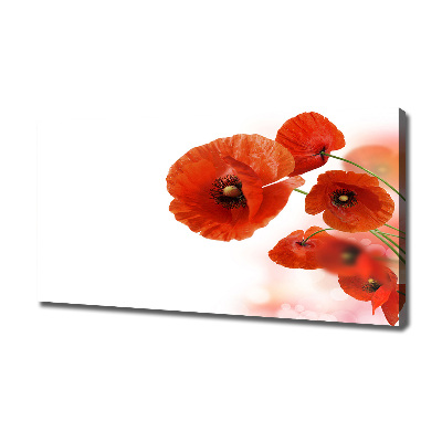 Bild auf leinwand Mohnblumen