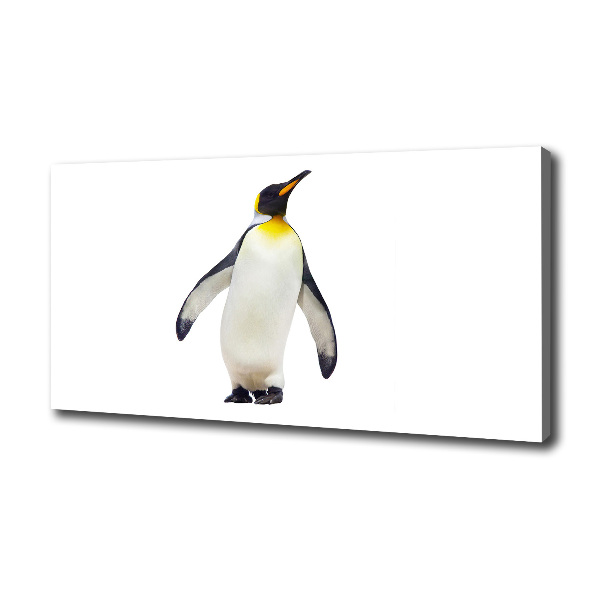 Bild auf leinwand Pinguin