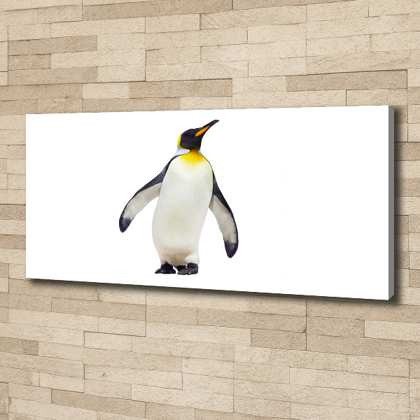 Bild auf leinwand Pinguin