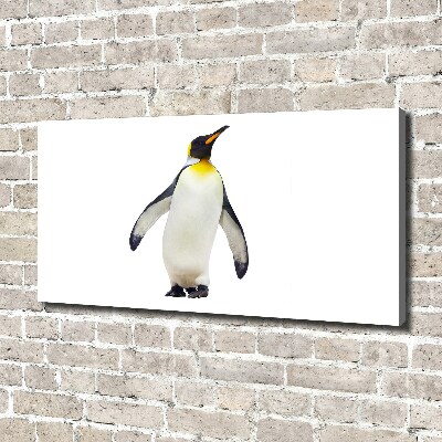 Bild auf leinwand Pinguin