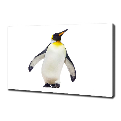 Bild auf leinwand Pinguin