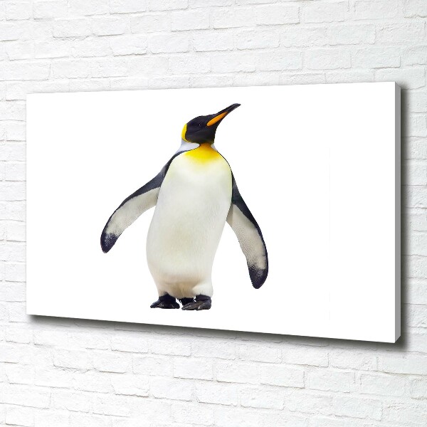 Bild auf leinwand Pinguin
