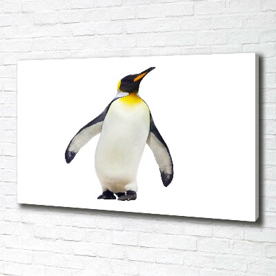 Bild auf leinwand Pinguin