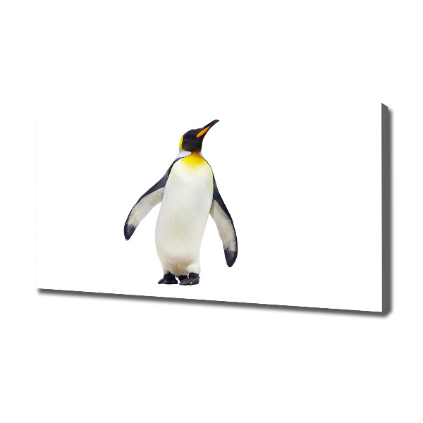 Bild auf leinwand Pinguin