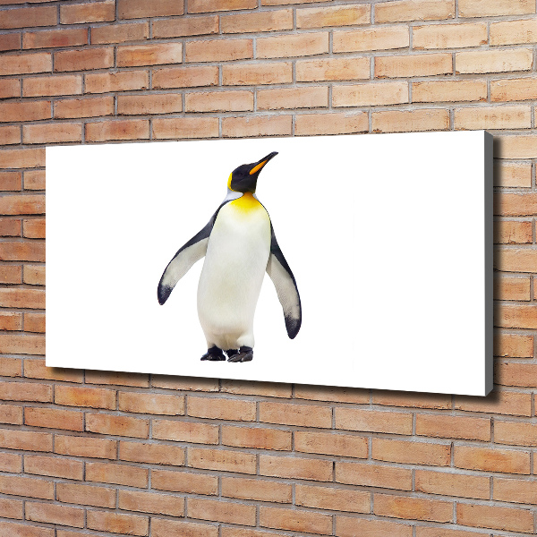 Bild auf leinwand Pinguin
