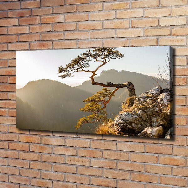Bild auf leinwand Sokolica Pieniny