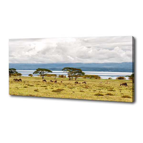 Fotobild Naivasha-See