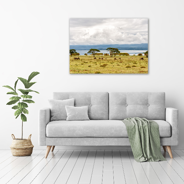 Fotobild Naivasha-See