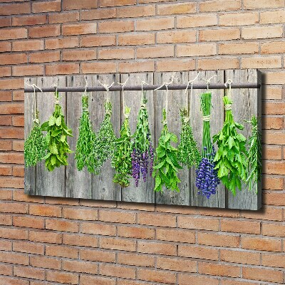 Fotobild Kräuter an einer Schnur