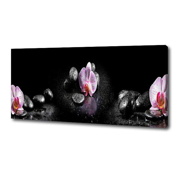 Wandbild Orchidee