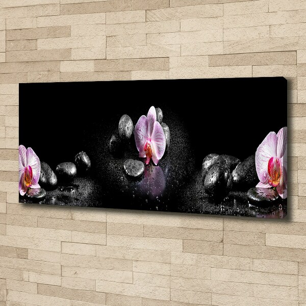 Wandbild Orchidee