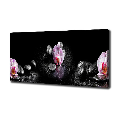 Wandbild Orchidee