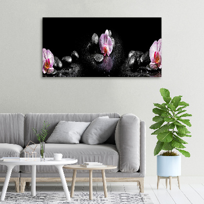 Wandbild Orchidee