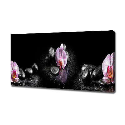 Wandbild Orchidee