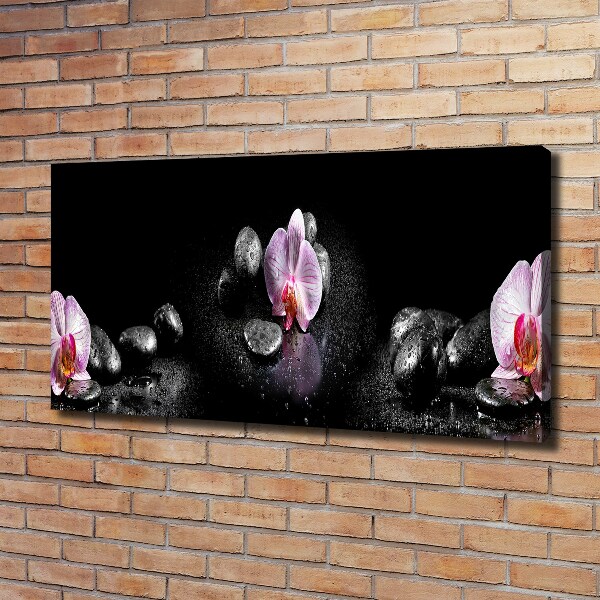 Wandbild Orchidee