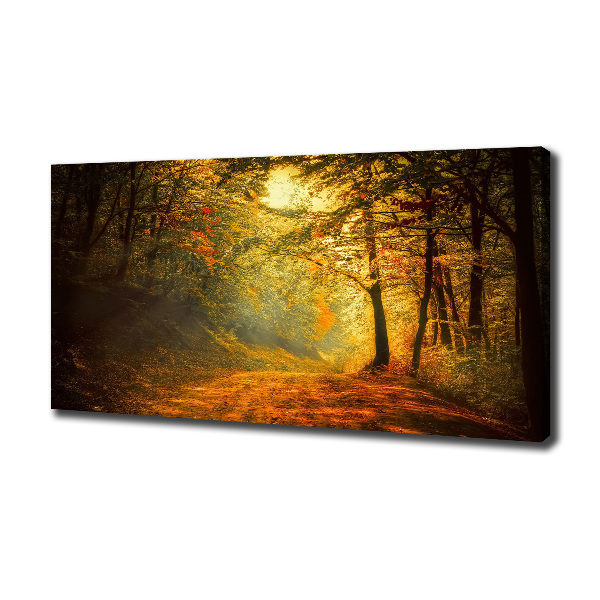 Wandbild Wald im Herbst