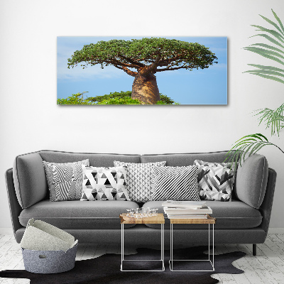 Fotobild Baobab