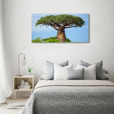 Fotobild Baobab