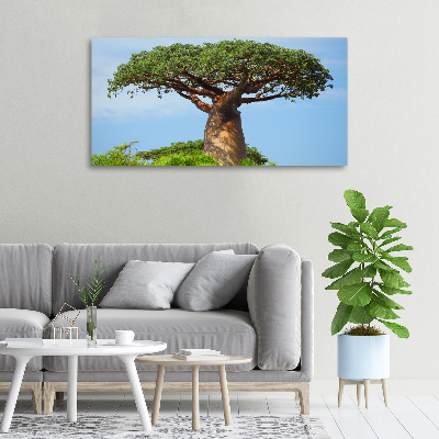 Fotobild Baobab