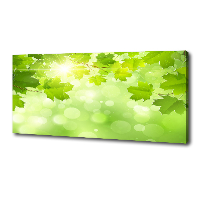 Bild auf leinwand Rosskastanienblätter