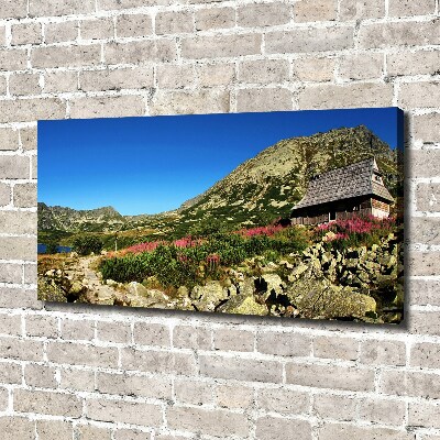 Fotobild Schäferhütte im Tal