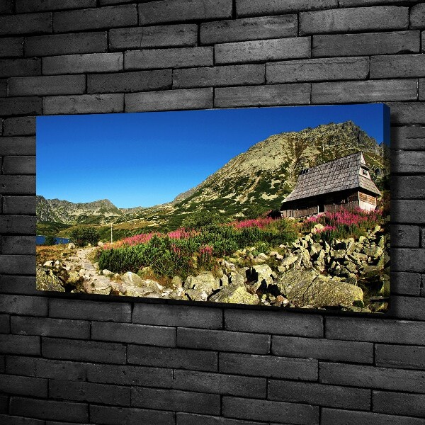 Fotobild Schäferhütte im Tal