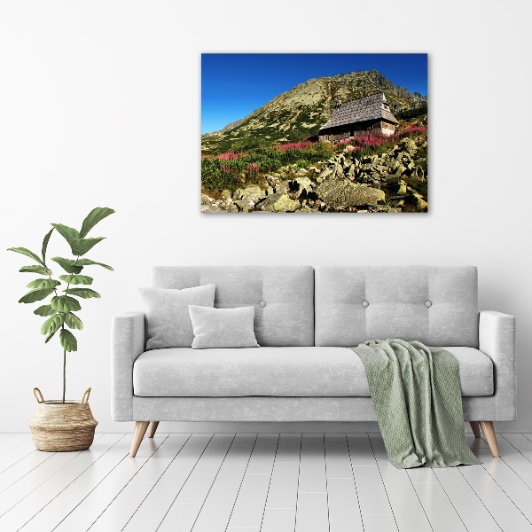 Fotobild Schäferhütte im Tal