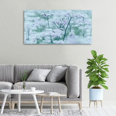 Fotobild Großer Mantelkraut