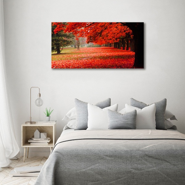 Wandbild Bäume im Herbst