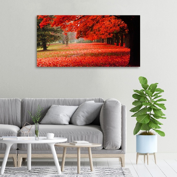 Wandbild Bäume im Herbst